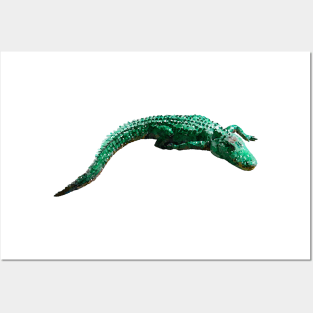 Alligator Florida Wildlife Animal Posters and Art